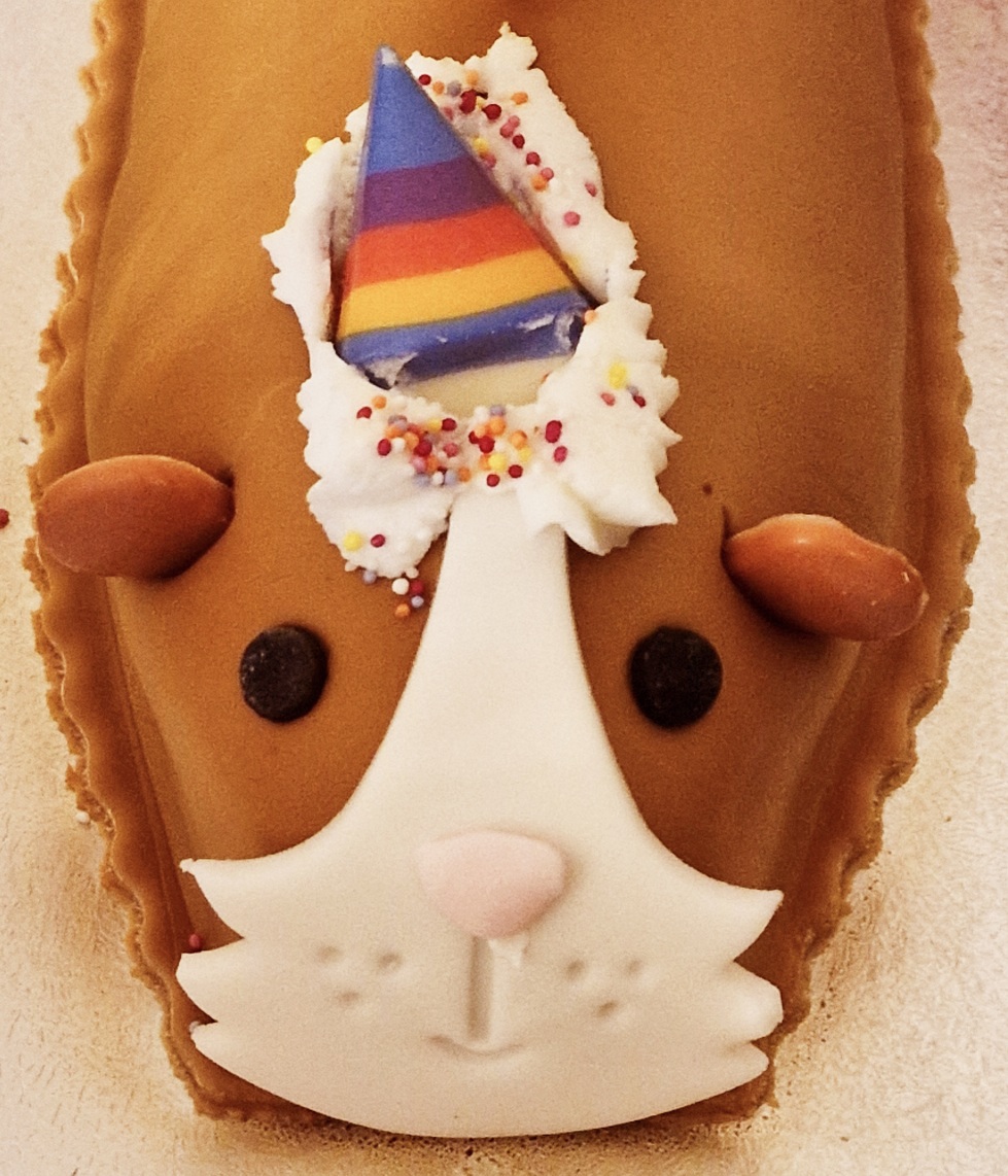  Guinea pig birthday cake